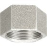 Raccord fonte malléable galvanisé fileté Bouchon femelle hexagonale - 1"1/4 - Galvanisée / Galva